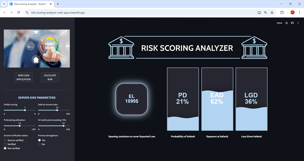 Risk scoring analyzer web app: Results.